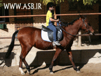 horsekids2.gif