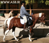 horsekids3.gif