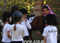 horsekids9.gif