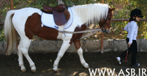 horsekids16.gif