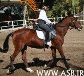 horsekids26.gif