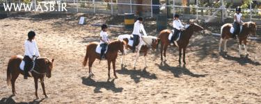 horsekids32.gif