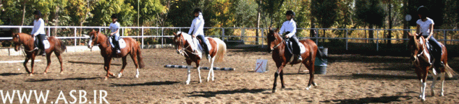 horsekids33.gif