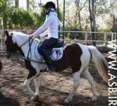 horsekids37.gif