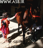 horsekids41.gif