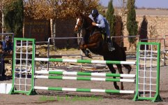 IMG_7945.JPG