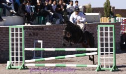 IMG_8034.JPG
