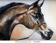 stock-photo-original-watercolor-painting-of-a-fine-arabian-horse-picture-i-have-created-myself-3.jpg