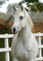 DSC_0166-IbnAbbasPasha-13x18.jpg