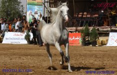 IMG_1466.JPG