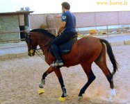 IMG_0841.JPG
