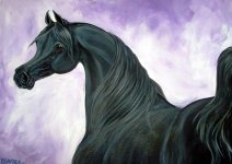 Black Stallion.jpg