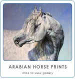 Copy of Button Arabian ON.jpg