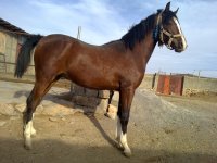 201204021624.jpg