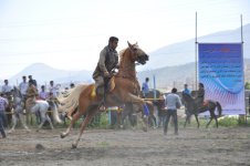 DSC_8523.JPG