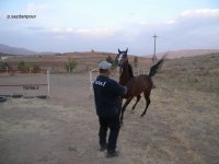 khodayar13.jpg