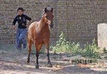 IMG_5357.jpg