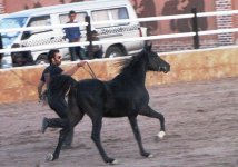 IMG_5420.jpg