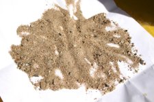 sand_in_feces.jpg