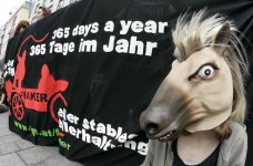 Animal rights.jpg