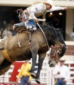 Calgary Stampede rodeo.jpg