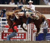 Calgary Stampede rodeo5.jpg