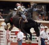 Calgary Stampede rodeo4.jpg