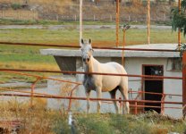 DSC_0059.jpg