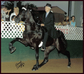 Stormy\'s%20Bad%20CompanyNWL.gif