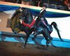 BKC_ValiantStar_OKC07-5142_thumb.jpg