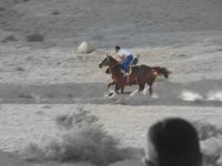 DSC07037.JPG