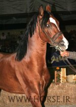 IMG_5185.jpg
