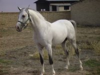 PICT0399.JPG