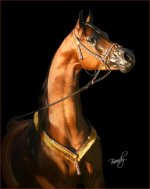 Odyssey_1-web2-382x480.jpg