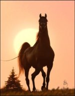 Odyssey8-284x358.jpg