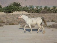 IMG_5558.jpg