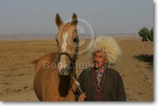 JQ4P5656YomudMare-Roshan-GharaTepeSheikh,Iran.JPG