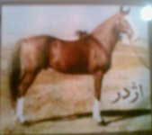 SP_A1289.jpg