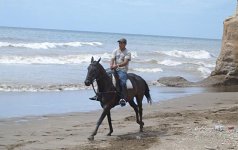 Horse%20rider.jpg