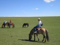 HorseBackRiding.jpg