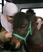 guide pony3.jpg