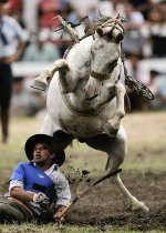 n00009284-r-b-003[1].jpg