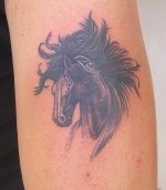 horsecq9.jpg