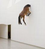 catt.jpg