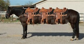 photoshop-horse-15.jpg
