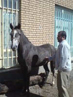 DSC00033.JPG