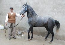 200507202790515420.jpg