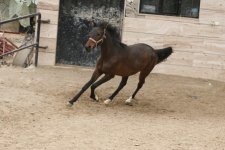 IMG_3752.JPG