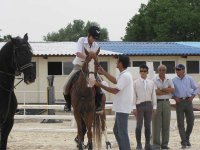 IMG_1194.jpg