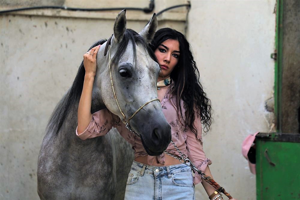 خرید اسب عرب مصری مادیان
